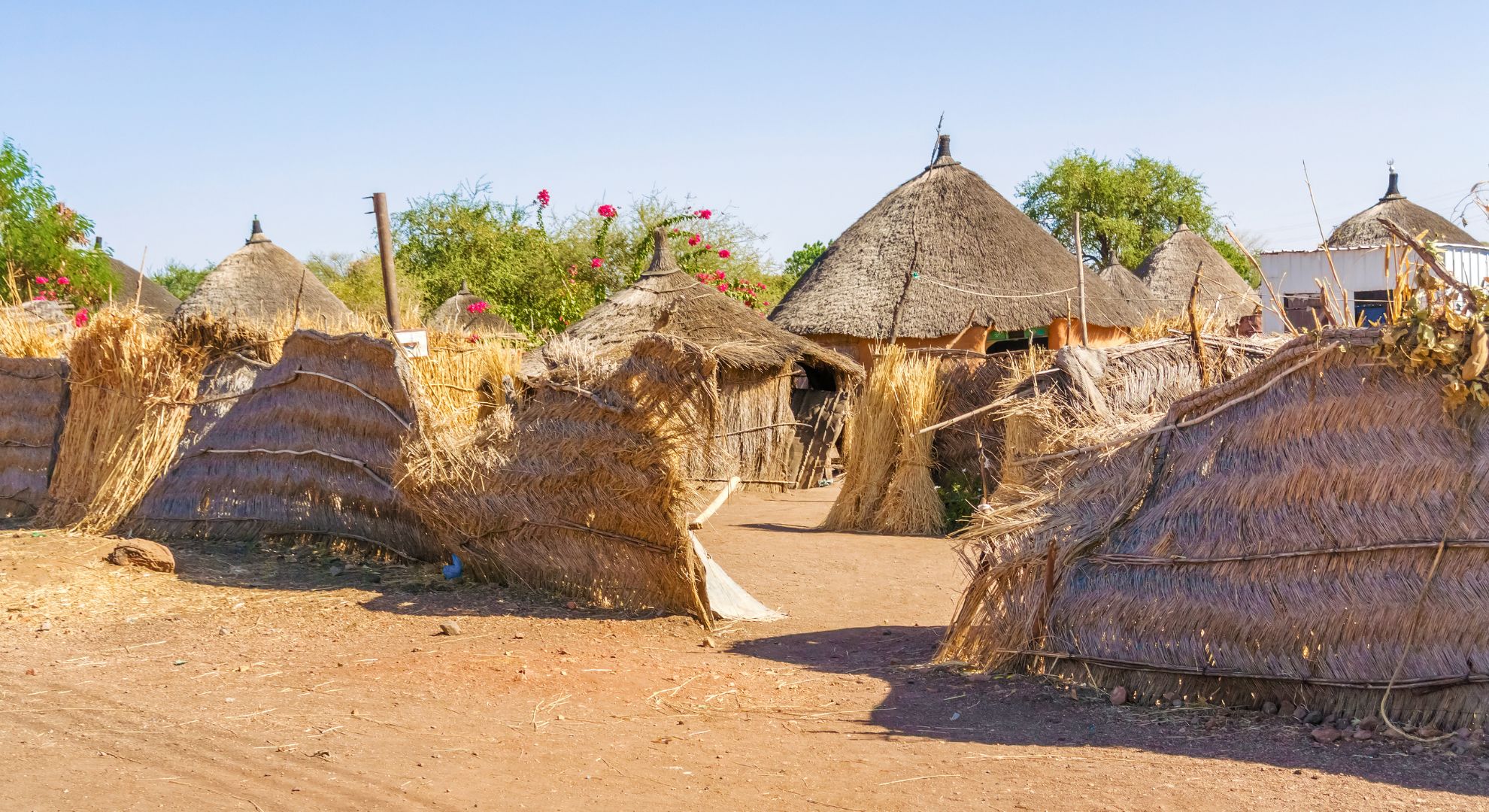 Traditional homesteads and local environment in South Sudan